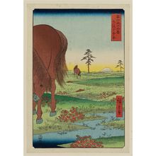 歌川広重: Kogane Plain in Shimôsa Province (Shimôsa Kogane hara), from the series Thirty-six Views of Mount Fuji (Fuji sanjûrokkei) - ボストン美術館