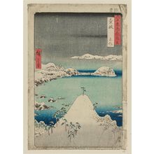 Utagawa Hiroshige: Iki Province: Shisa (Iki, Shisa), from the series Famous Places in the Sixty-odd Provinces [of Japan] ([Dai Nihon] Rokujûyoshû meisho zue) - Museum of Fine Arts