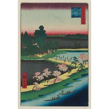 Utagawa Hiroshige, 歌川広重 (Utagawa Hiroshige I)による浮世絵「Azuma Shrine and the Entwined Camphor (Azuma no mori Renri no azusa), from the series One Hundred Famous Views of Edo (Meisho Edo hyakkei)」