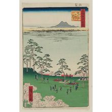 Utagawa Hiroshige: View to the North from Asuka Hill (Asukayama kita no chôbô), from the series One Hundred Famous Views of Edo (Meisho Edo hyakkei) - Museum of Fine Arts