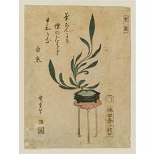 Utagawa Hiroshige: Plant on small table - Museum of Fine Arts