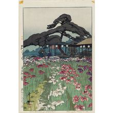 吉田博: Iris Garden in Horikiri (Horikiri no shôbu), from the series Twelve Scenes of Tokyo (Tôkyô jûni dai) - ボストン美術館