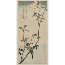 Utagawa Hiroshige: Aronia and Bullfinch - Museum of Fine Arts