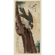 Utagawa Hiroshige: Falcon, Pine, and New Year Sunrise - Museum of Fine Arts