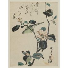 Utagawa Hiroshige: Warbler on Camellia Branch - Museum of Fine Arts