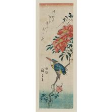 Utagawa Hiroshige: Kingfisher and Wild Rose - Museum of Fine Arts