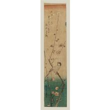 Utagawa Hiroshige: Finch on Plum Branch - Museum of Fine Arts