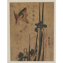 日本版画 "Kingfisher and Iris" 由 Utagawa Hiroshige, 歌川広重 (Utagawa Hiroshige I) 创作