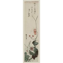 Utagawa Hiroshige: Snail and Begonia - Museum of Fine Arts