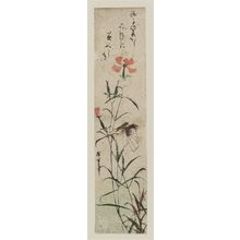 Utagawa Hiroshige: Pinks and Butterfly - Museum of Fine Arts