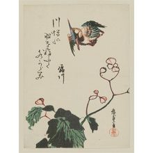 Utagawa Hiroshige: Kingfisher and Begonia - Museum of Fine Arts