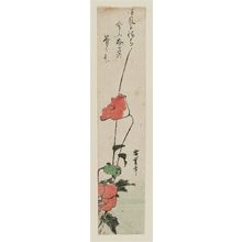 Utagawa Hiroshige: Poppies - Museum of Fine Arts