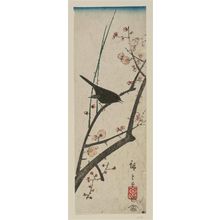 Utagawa Hiroshige: Warbler on Plum Branch - Museum of Fine Arts