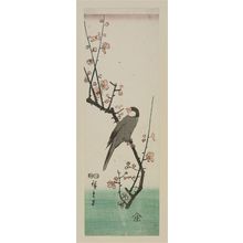 Utagawa Hiroshige: Finch on Red Plum Branch - Museum of Fine Arts