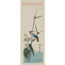 歌川広重: Kingfisher and Mizu-aoi - ボストン美術館