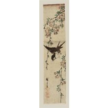 Utagawa Hiroshige: Flying Swallow and Weeping Cherry - Museum of Fine Arts