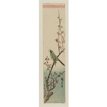 Utagawa Hiroshige: Warbler on Red Plum Branch - Museum of Fine Arts