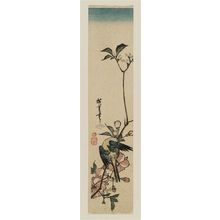 Utagawa Hiroshige: Green Bird on Flowering Branch - Museum of Fine Arts