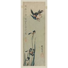 歌川広重: Kingfisher and Iris - ボストン美術館