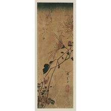 Utagawa Hiroshige: Chrysanthemums - Museum of Fine Arts