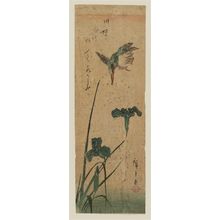 Utagawa Hiroshige: Kingfisher and Iris - Museum of Fine Arts