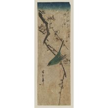 Utagawa Hiroshige: Warbler on Plum Branch - Museum of Fine Arts