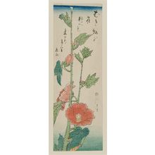 Utagawa Hiroshige: Hibiscus - Museum of Fine Arts