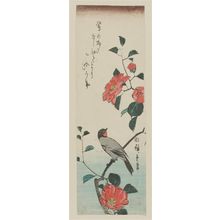 Utagawa Hiroshige: Camellia and Bulfinch - Museum of Fine Arts