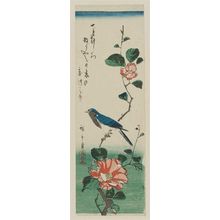 Utagawa Hiroshige: Bluebird on Camellia Branch - Museum of Fine Arts