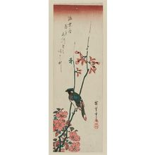 日本版画 "Oriole on Aronia Branch" 由 Utagawa Hiroshige, 歌川広重 (Utagawa Hiroshige I) 创作