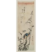 Utagawa Hiroshige, 歌川広重 (Utagawa Hiroshige I)创作的日本版画《Kingfisher and Reeds》