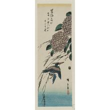 Utagawa Hiroshige: Kingfisher and Hydrangea - Museum of Fine Arts
