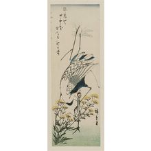 Utagawa Hiroshige: Crane and Autumn Grasses - Museum of Fine Arts
