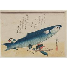Utagawa Hiroshige: Mullet, Asparagus, and Camellia, from an untitled series known as Large Fish - Museum of Fine Arts