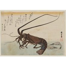 Utagawa Hiroshige: Spiny Lobster and Shrimp, from an untitled series known as Large Fish - Museum of Fine Arts