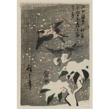 歌川広重: Sparrows and Snow-covered Nandina - ボストン美術館