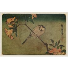 日本版画 "Peach Blossoms and Bullfinch" 由 Utagawa Hiroshige, 歌川広重 (Utagawa Hiroshige I) 创作