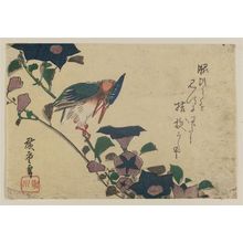 Utagawa Hiroshige: Bellflowers and Kingfisher - Museum of Fine Arts