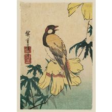 Utagawa Hiroshige: Bird on Yellow Hibiscus - Museum of Fine Arts