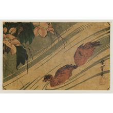 Utagawa Hiroshige: Hibiscus and Ducks - Museum of Fine Arts