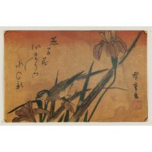 Utagawa Hiroshige: Irises and Wagtail - Museum of Fine Arts