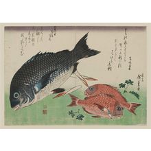Utagawa Hiroshige: Black Sea Bream, Small Sea Bream, Asparagus Shoots, and Sansho Pepper, from an untitled series known as Large Fish - Museum of Fine Arts