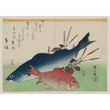 歌川広重: Sea Bass, Golden-eyed Sea Bream, and Shiso, from an untitled series known as Large Fish - ボストン美術館