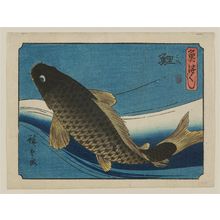 Utagawa Hiroshige, 歌川広重 (Utagawa Hiroshige I)创作的日本版画《Carp (Koi), from the series An Assortment of Fish (Uo tsukushi)》