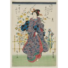 Utagawa Hiroshige: Kerria Roses and Iris, from the series Flower Gardens in the Four Seasons (Shiki no hanazono) - Museum of Fine Arts