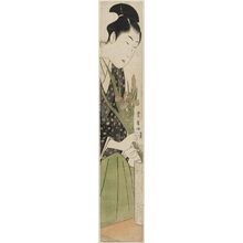 Utagawa Toyohiro: Young Man Arranging Iris in a Vase - Museum of Fine Arts