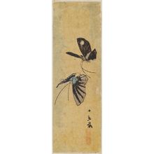Utagawa Hiroshige: Moths, cut from an unidentified harimaze sheet - Museum of Fine Arts