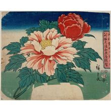 Utagawa Hiroshige, 歌川広重 (Utagawa Hiroshige I)による浮世絵「Peonies」