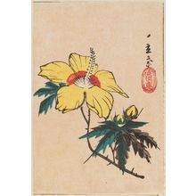 Utagawa Hiroshige: Yellow Hibiscus, cut from an unidentified harimaze sheet - Museum of Fine Arts