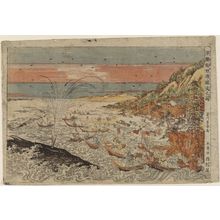 Utagawa Toyoharu: Perspective Picture of Whale Hunting in Kumano Bay (Uki-e Kumano ura kujira tsuki no zu) - Museum of Fine Arts